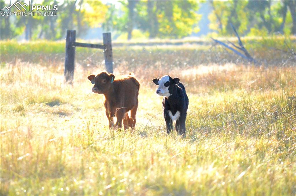 65295 Highway 50 Fowler, CO 81039 - Photo 19 of 26