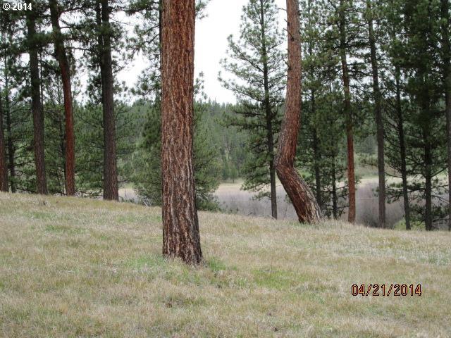 58521 Flevious Road La Grande, OR 97850 - Photo 4 of 5 Gallery Image 4