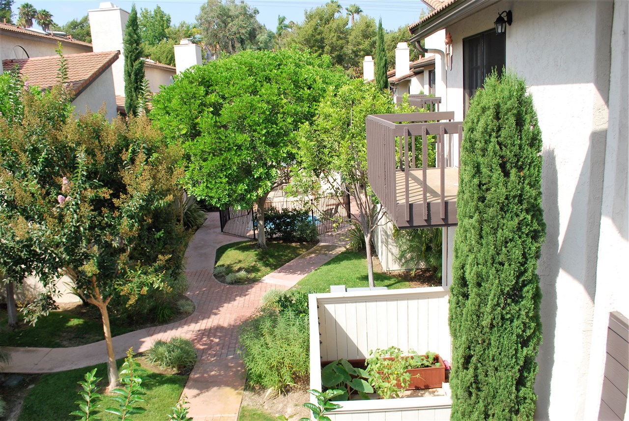 2372 Altisma Way, Unit C Carlsbad, CA 92009 - Photo 2 of 16 Court yard with community spa