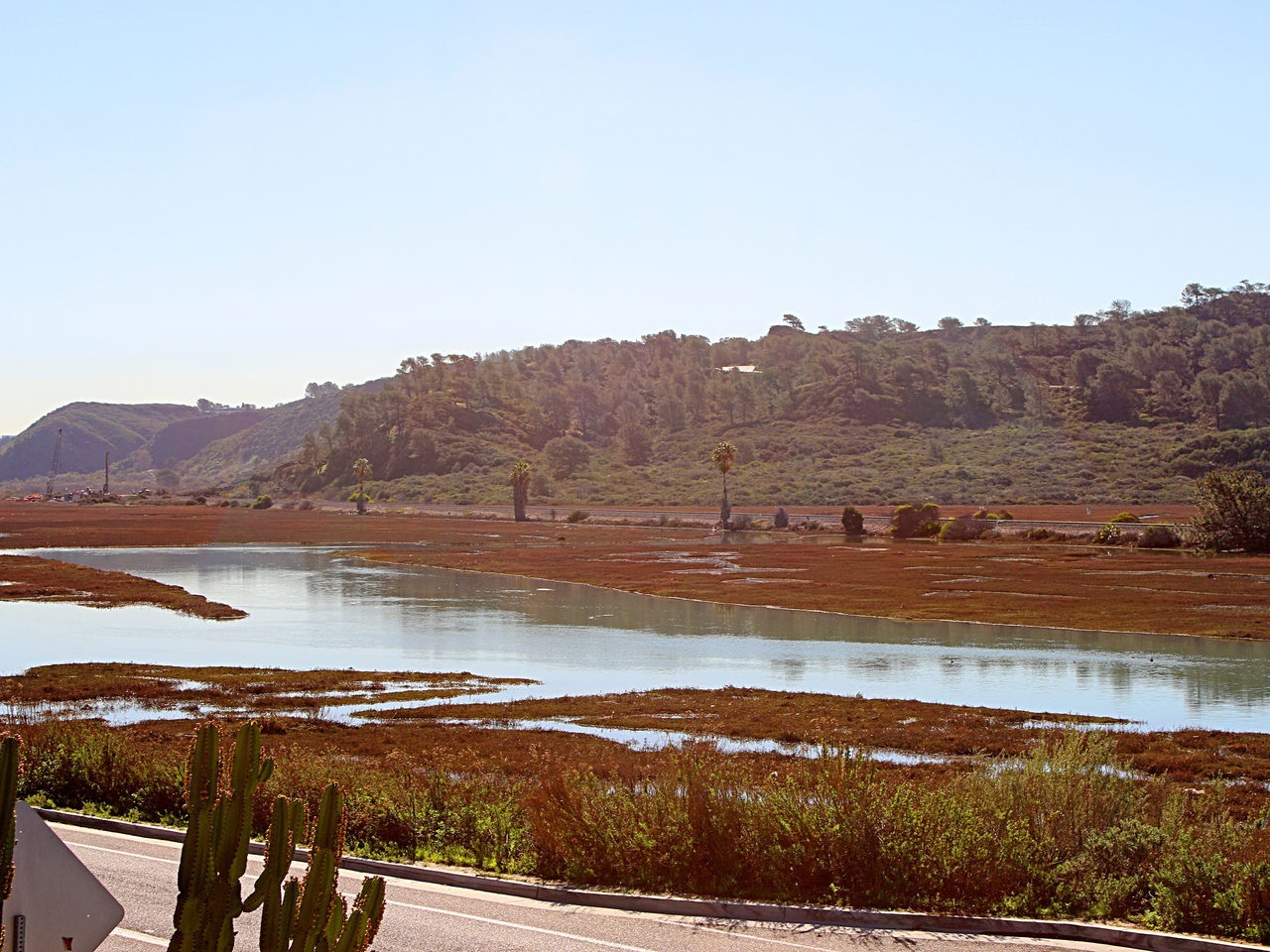 2222 Carmel Valley Road, Unit 9 Del Mar, CA 92014 - Photo 18 of 25