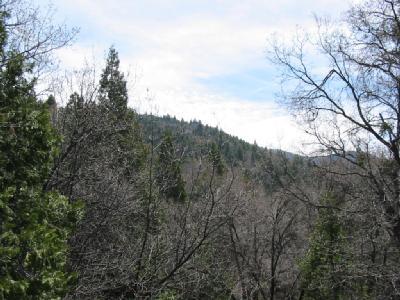 46235 Ridge Road Posey, CA 93260 - Photo 3 of 3 View from Deck