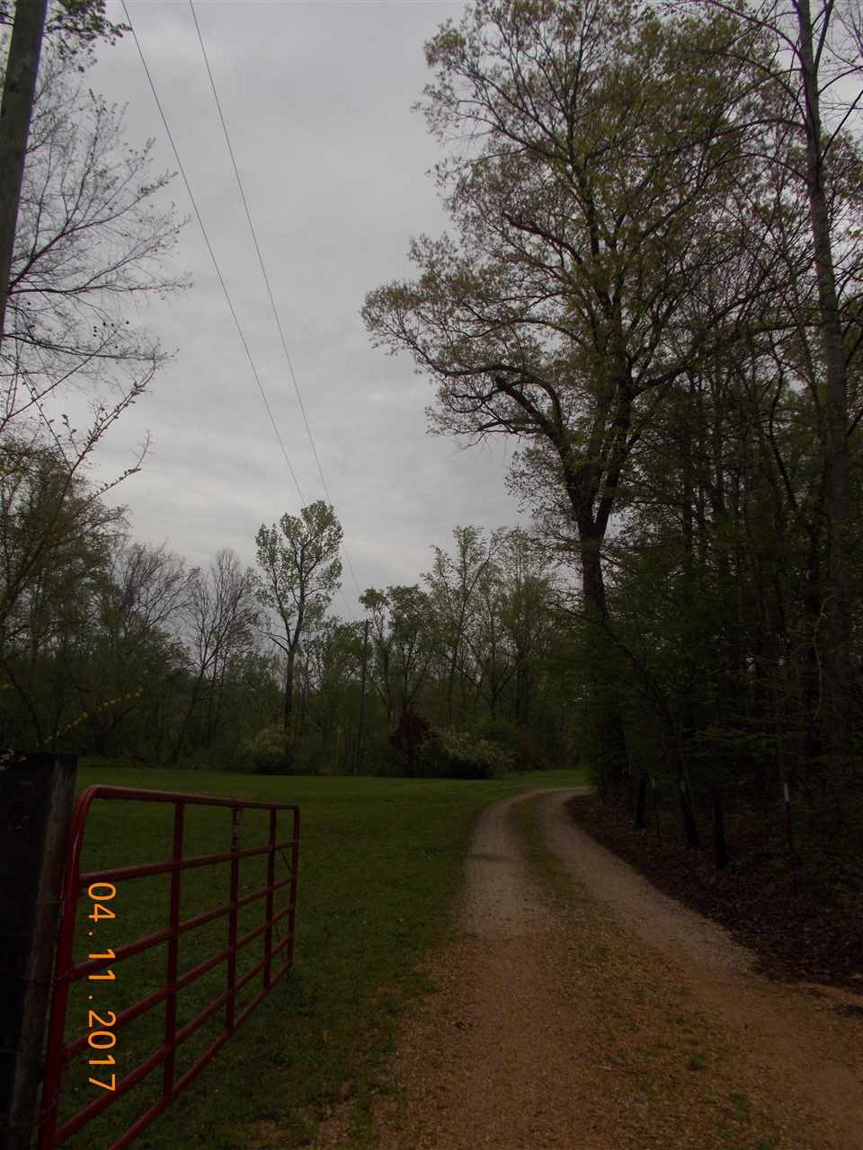 480 Voss Road Ripley, TN 38063 - Photo 4 of 25