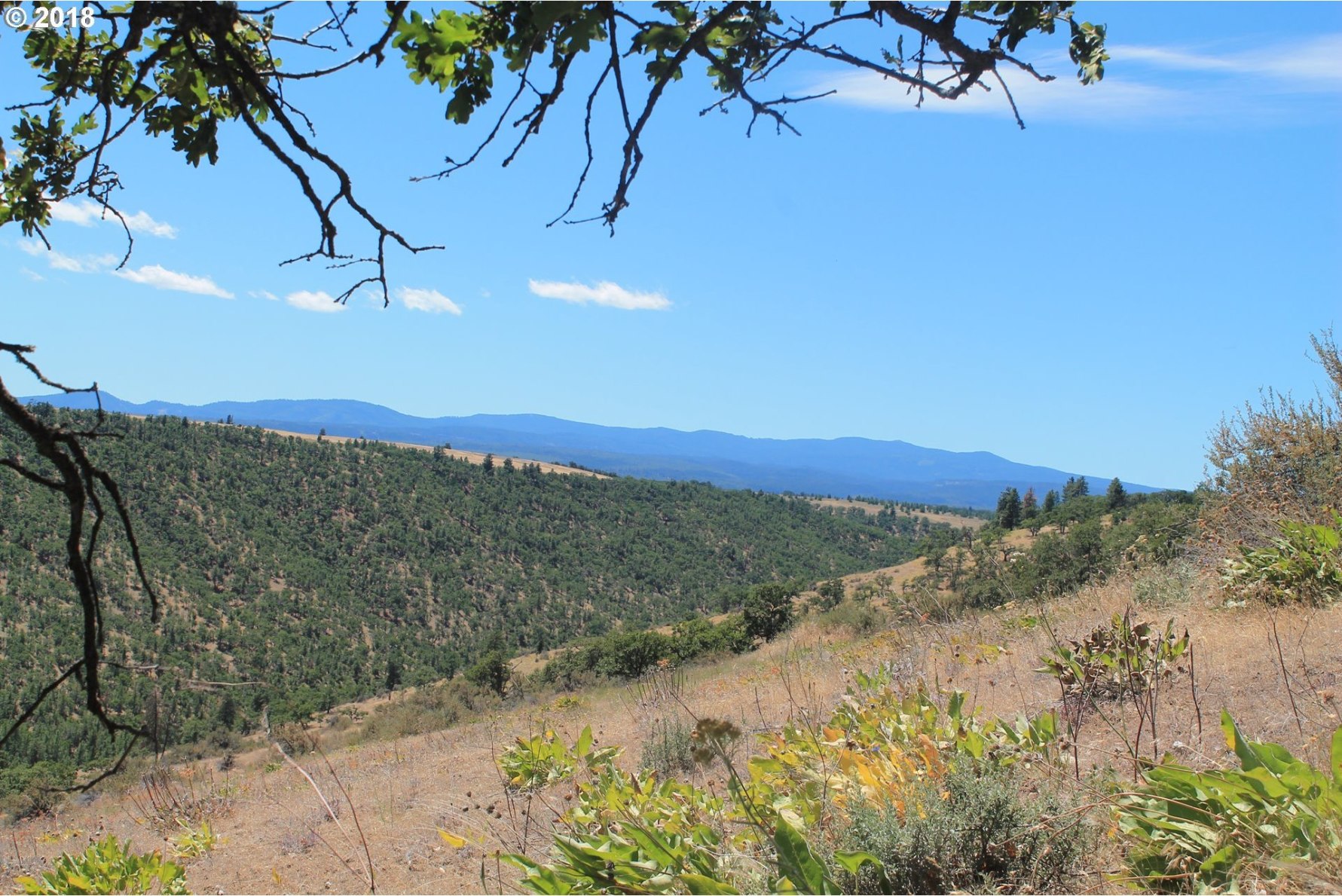 Off Pleasant Ridge The Dalles, OR 97058 - Photo 4 of 11 Gallery Image 4