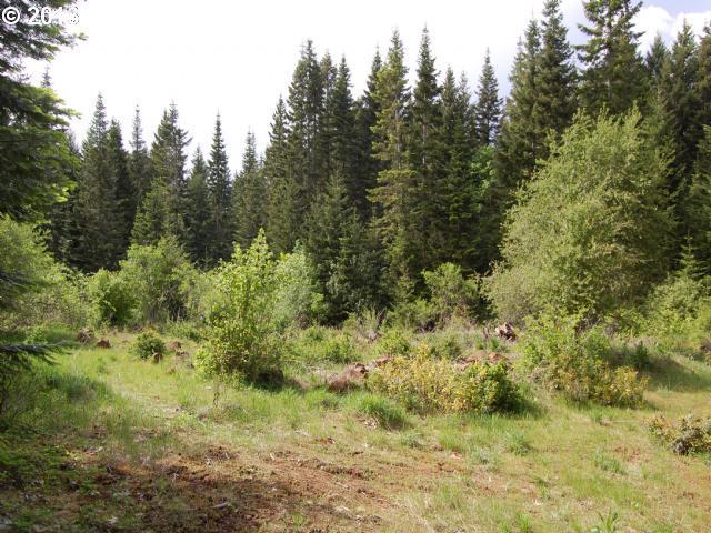 34 Moonshine Road Appleton, WA 98602 - Photo 10 of 13 Gallery Image 10