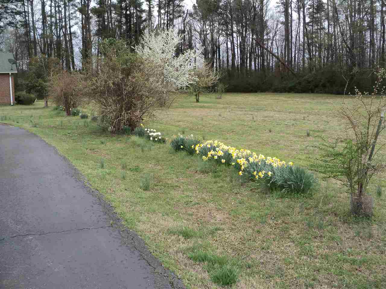 4294 57th Highway West Ramer, TN 38367 - Photo 22 of 24 Gallery Image 22