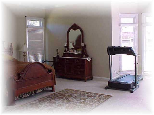 655 Dusk Ridge Road Collierville, TN 38017 - Photo 9 of 9 Spacious master bedroom has vaulted ceilings and sitting area.