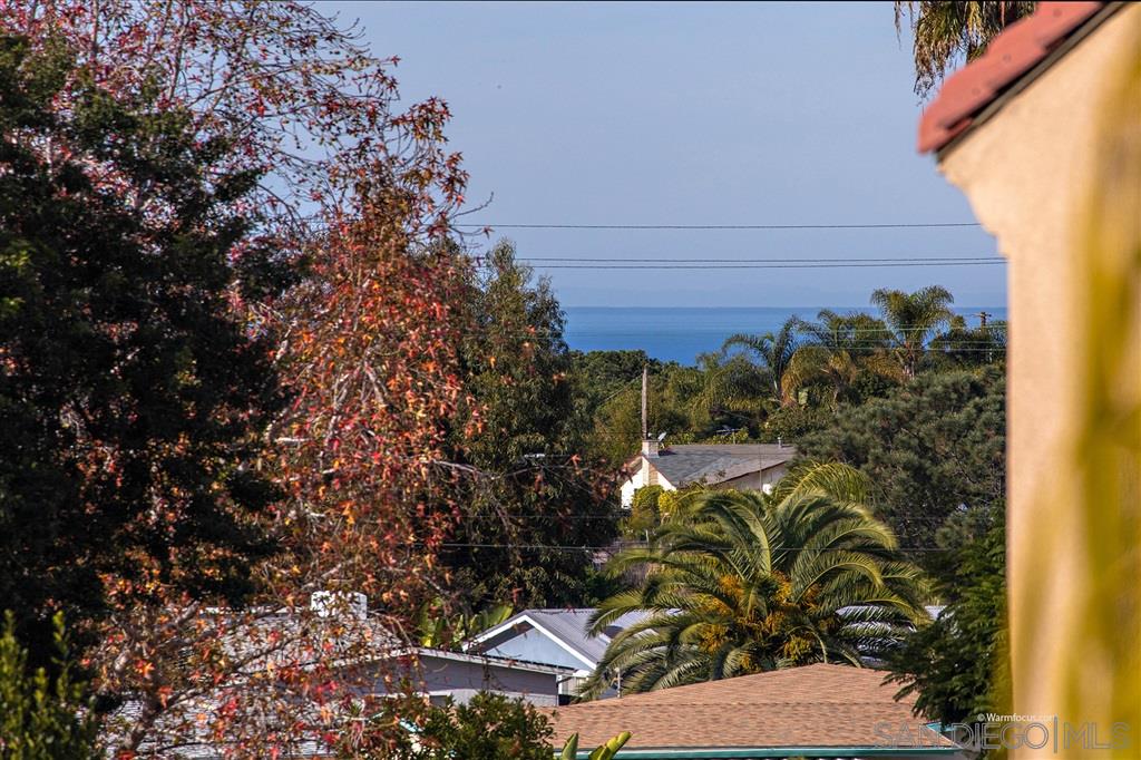 1011 Scarlet Way Encinitas, CA 92024 - Photo 25 of 25