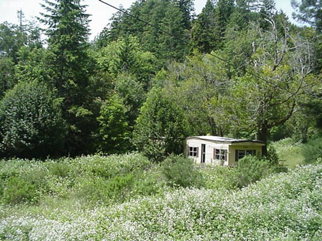 97642 North Bank Rogue River Road Gold Beach, OR 97444 - Photo 3 of 8 Gallery Image 3