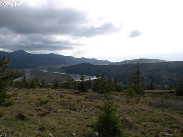 95650 Spirit Ridge Road Gold Beach, OR 97444 - Photo 15 of 17
