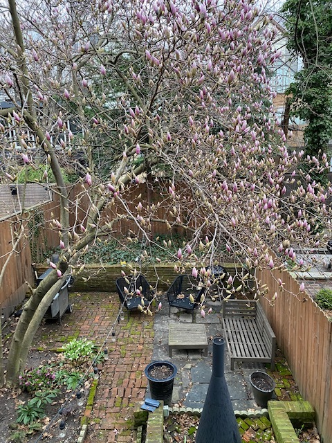 237 Bergen Street, Unit 1 Brooklyn, NY 11217 - Photo 6 of 12