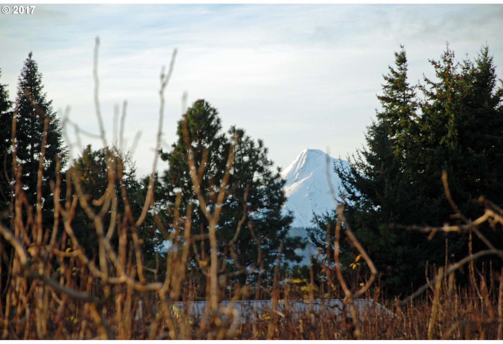 Hobbs Road Hood River, OR 97031 - Photo 1 of 5 Gallery Image 1