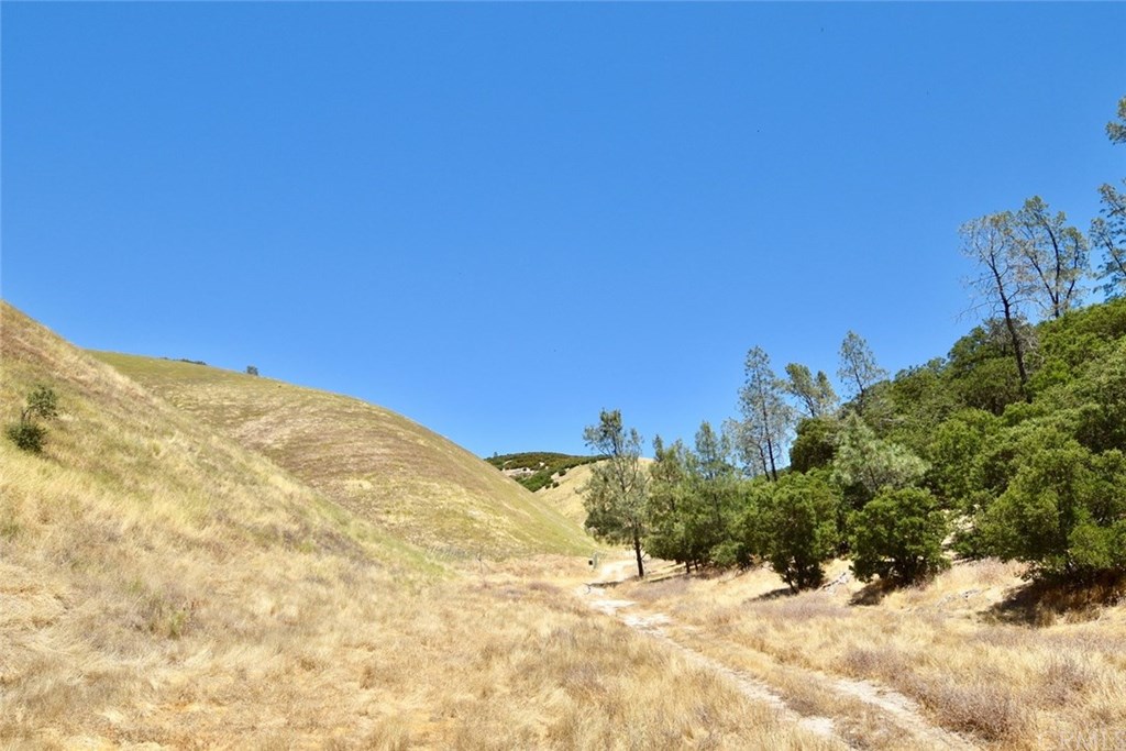 62973 Argyle Road King City, CA 93930 - Photo 1 of 1