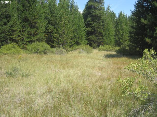 17700 Old Wood Road Bend, OR 97707 - Photo 4 of 11 Gallery Image 4