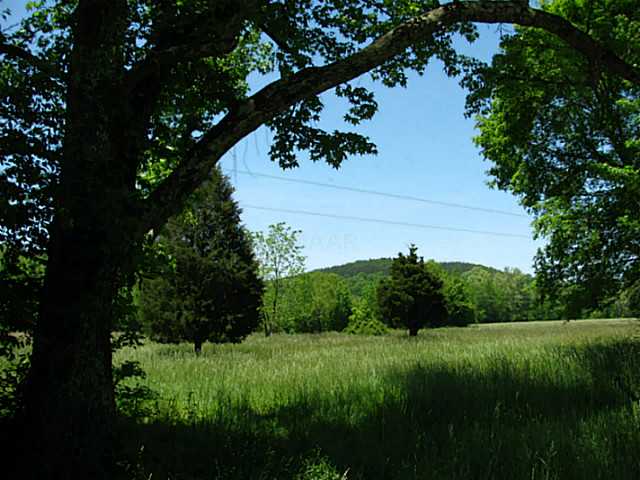 2126 2nd Creek Road Lutts, TN 38471 - Photo 8 of 15