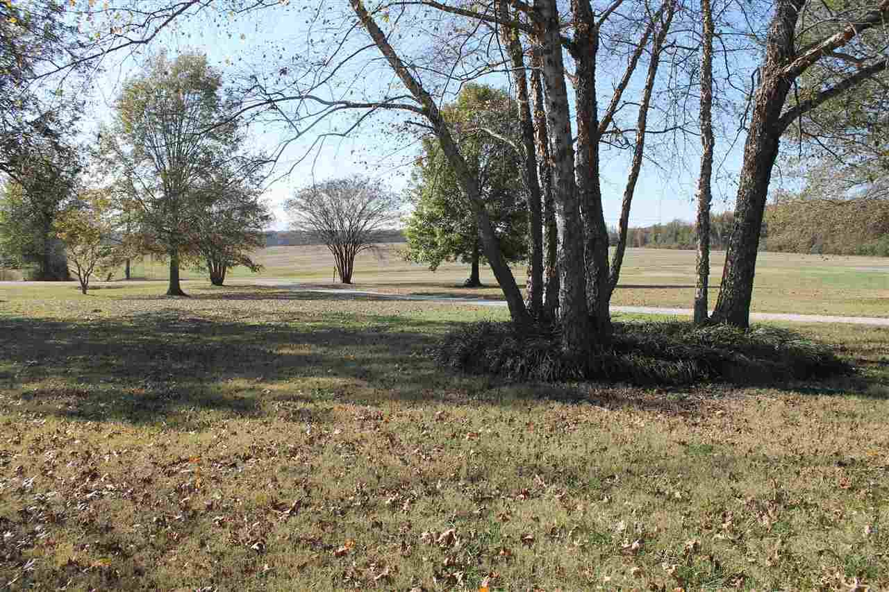 1938 Charleston Road Stanton, TN 38069 - Photo 20 of 23 view from front porch