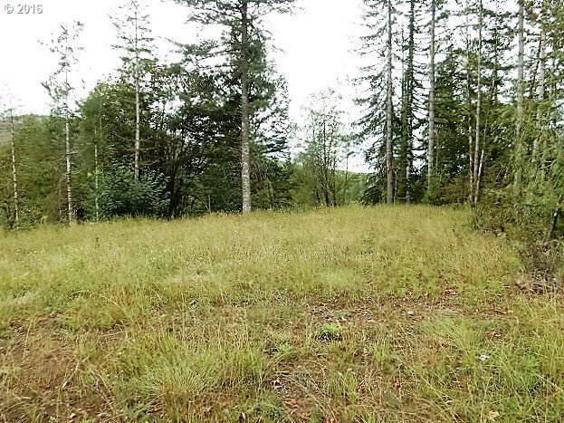 2 Kalama River Road Kalama, WA 98625 - Photo 2 of 10 Gallery Image 2
