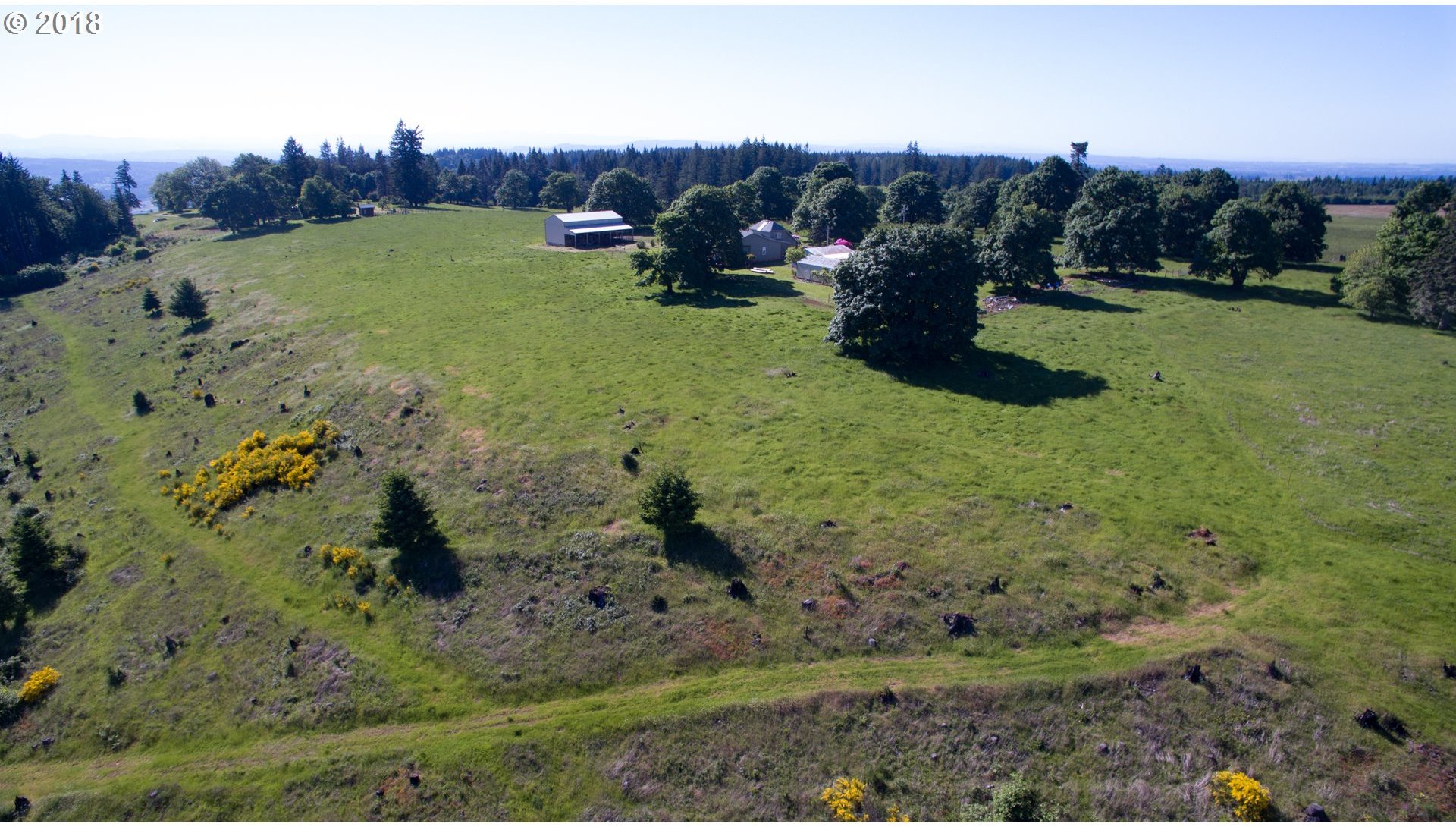 42433 Rodgers Mountain Loop Scio, OR 97374 - Photo 17 of 32 Gallery Image 17