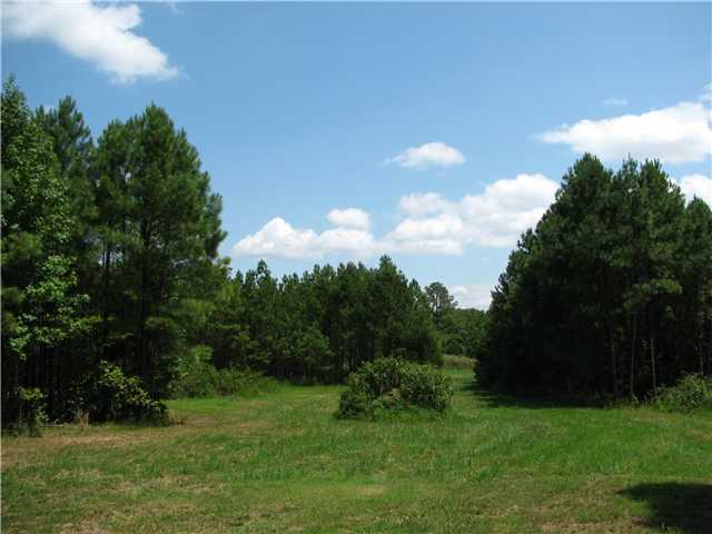 605 Craig Road Sardis, TN 38371 - Photo 8 of 9