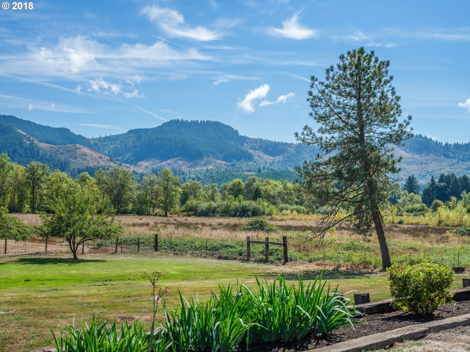 90207 Hill Road Springfield, OR 97478 - Photo 24 of 31