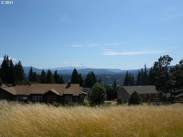 Westwinds Road White Salmon, WA 98672 - Photo 5 of 16 Gallery Image 5
