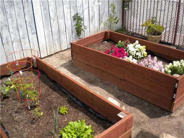 9641 Abbeyfield Road Santee, CA 92071 - Photo 7 of 8 Garden Planter Boxes