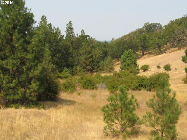 15 Zephyr Road Lyle, WA 98635 - Photo 5 of 16 Gallery Image 5
