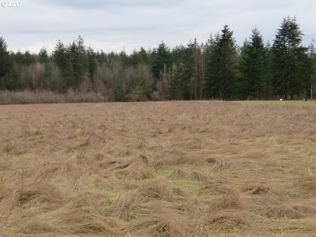 Bremgartner Road Winlock, WA 98596 - Photo 26 of 32