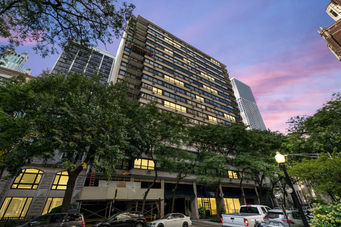 33 E Cedar St, Chicago, IL 60611 - Photo 3 of 13