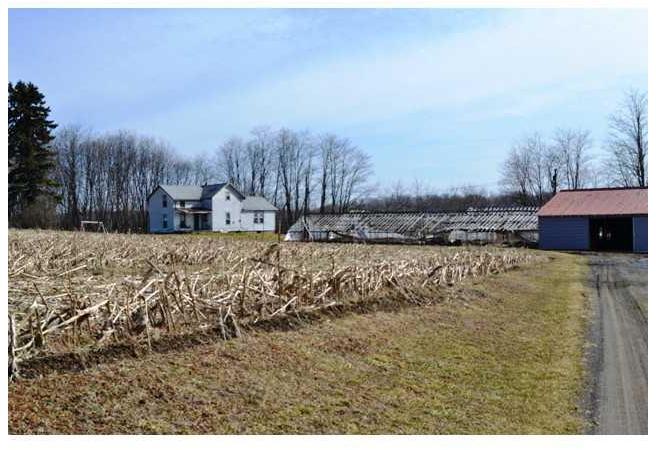 242 Delaware Road Fredonia, PA 16124 - Photo 5 of 16
