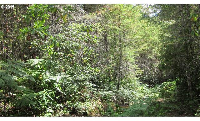 Northeast Dewatto Hills Road Tahuya, WA 98588 - Photo 16 of 16 Gallery Image 16