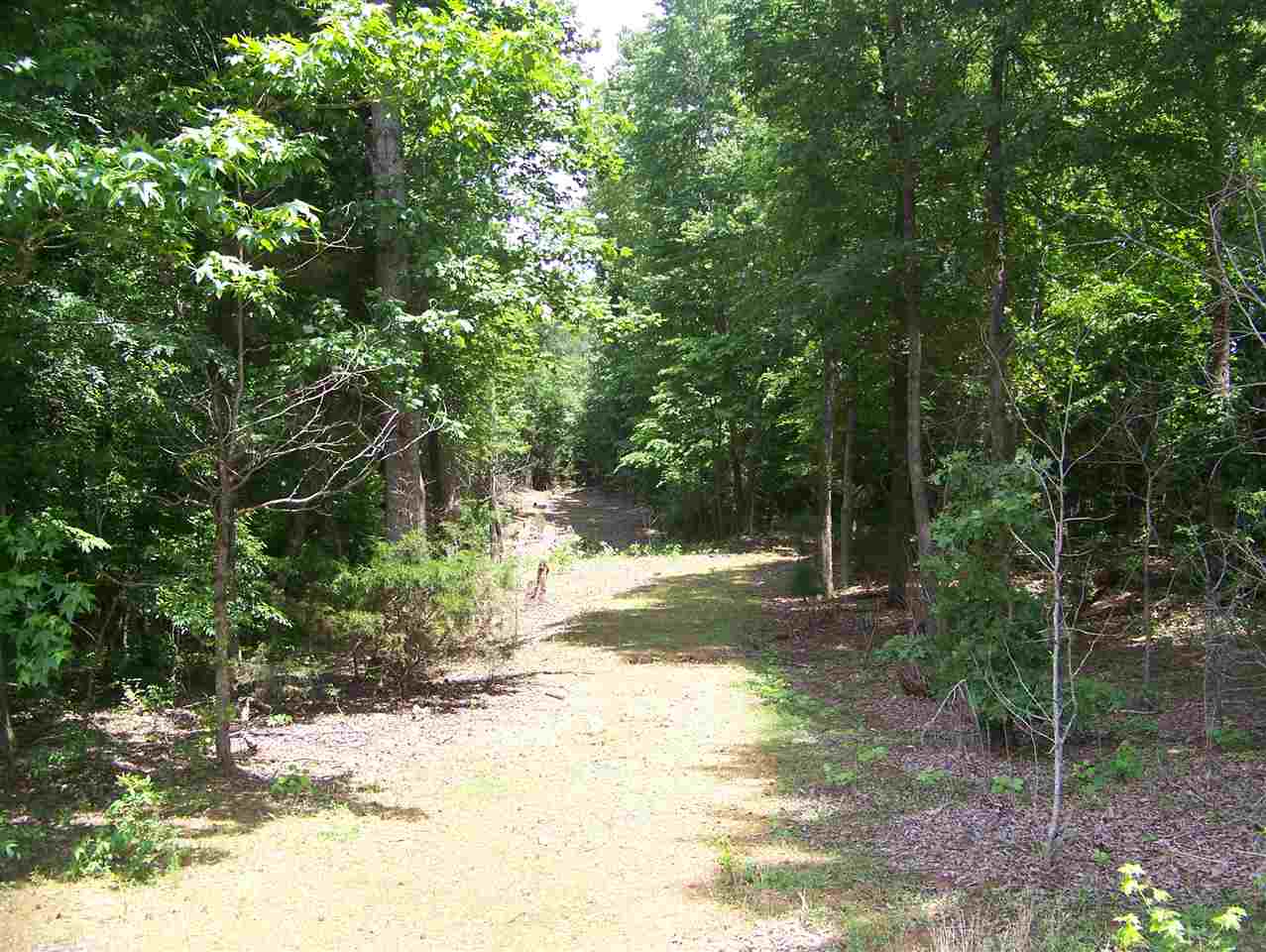 521 Combs Cemetery Road Adamsville, TN 38310 - Photo 12 of 24 Gallery Image 12