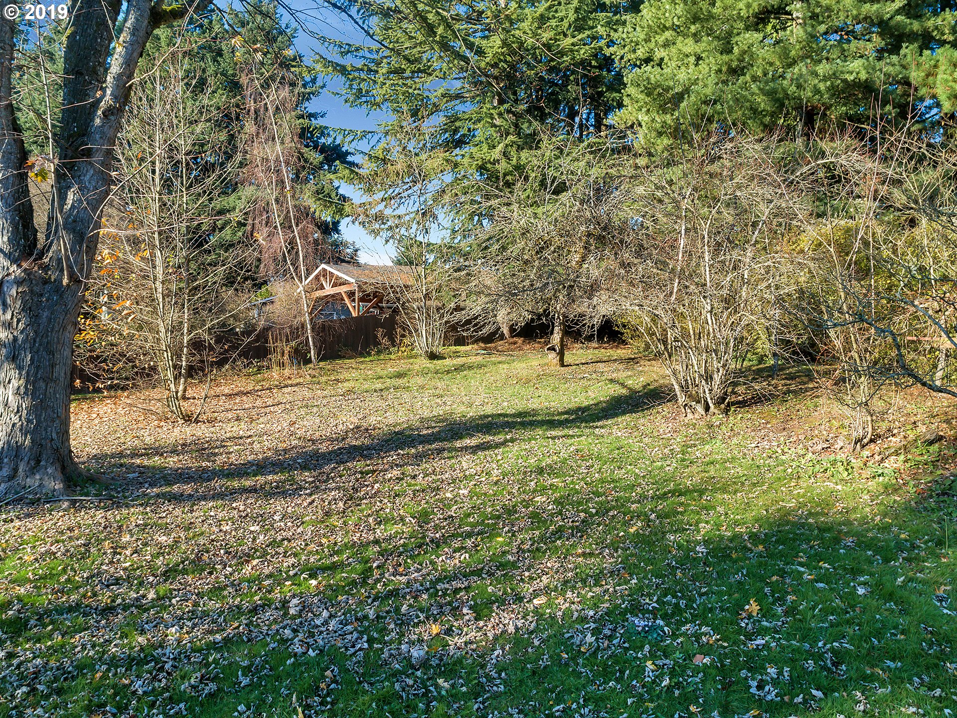 8533 Southwest 35th Avenue Portland, OR 97219 - Photo 11 of 18 Gallery Image 11