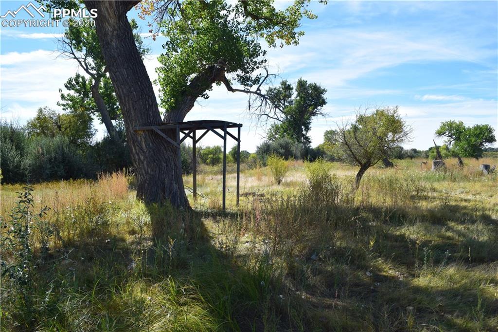 65295 Highway 50 Fowler, CO 81039 - Photo 17 of 26