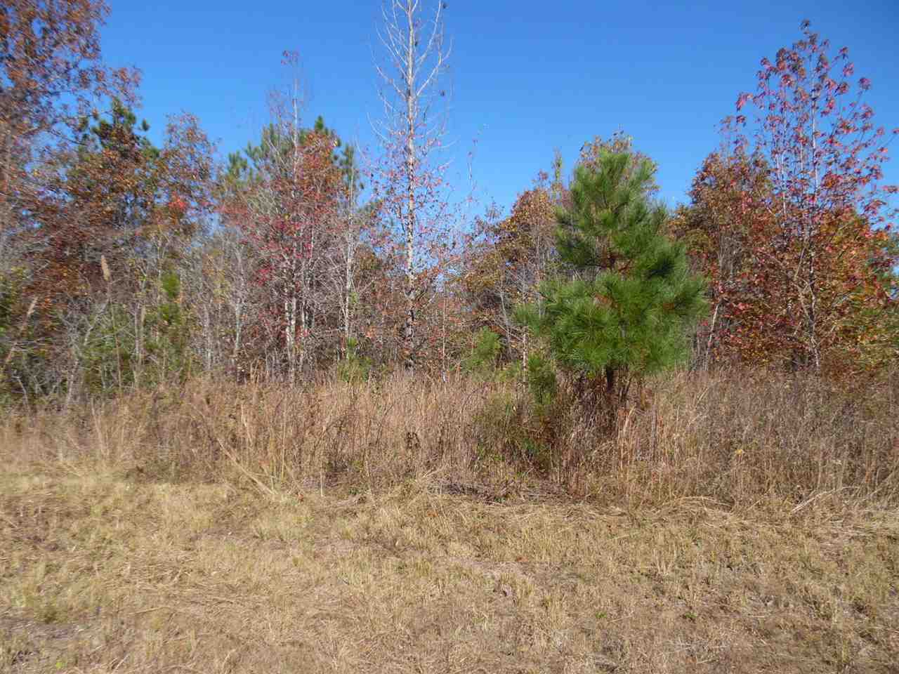 2085 Chalk Road Morris Chapel, TN 38361 - Photo 6 of 9 Gallery Image 6