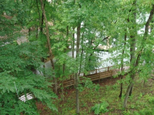 185 Clearwater Ridge Savannah, TN 38372 - Photo 18 of 25