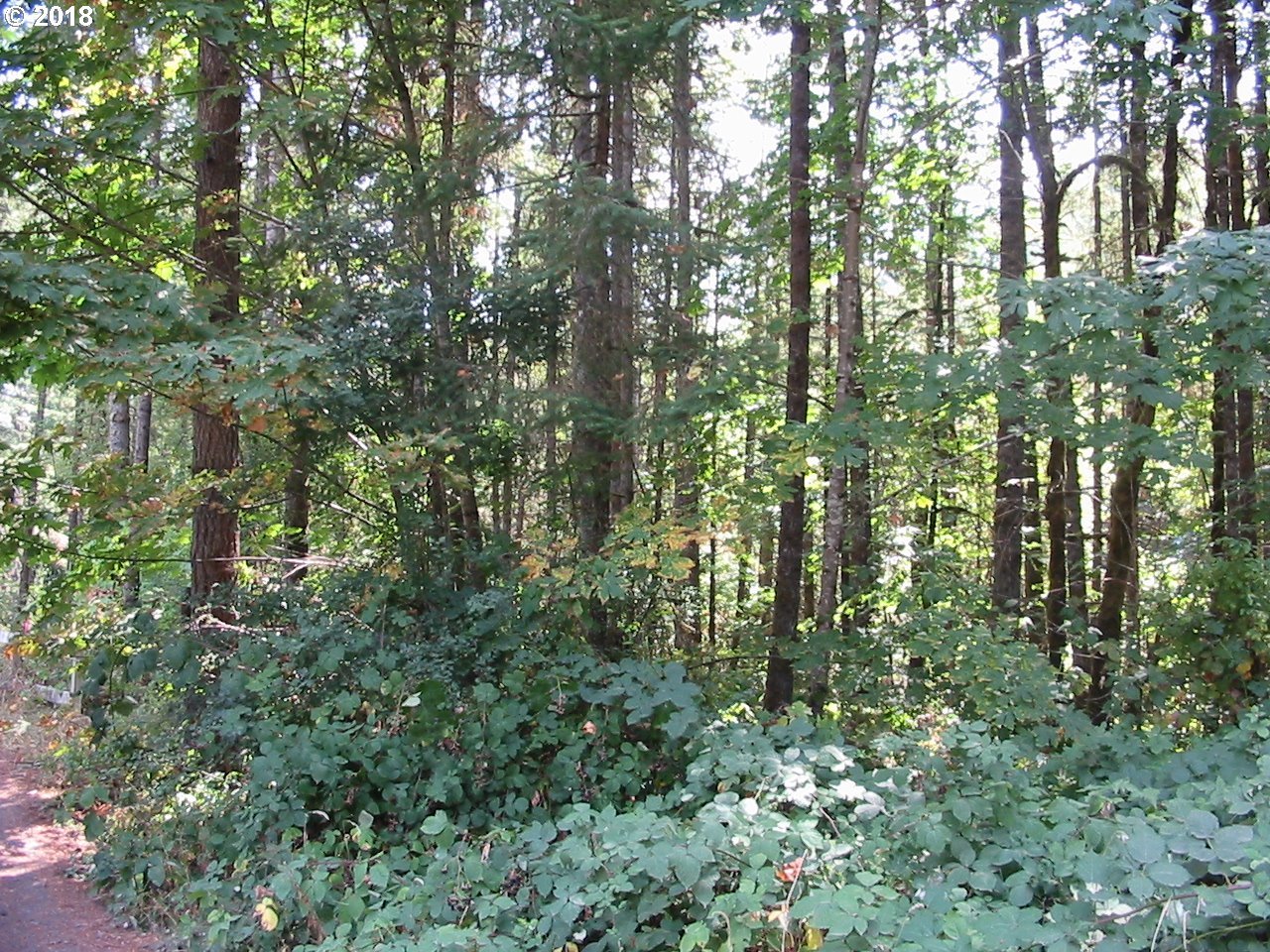 Barbre Dexter, OR 97431 - Photo 4 of 5 Gallery Image 4