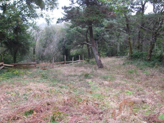 33085 Nesika Road Gold Beach, OR 97444 - Photo 9 of 10