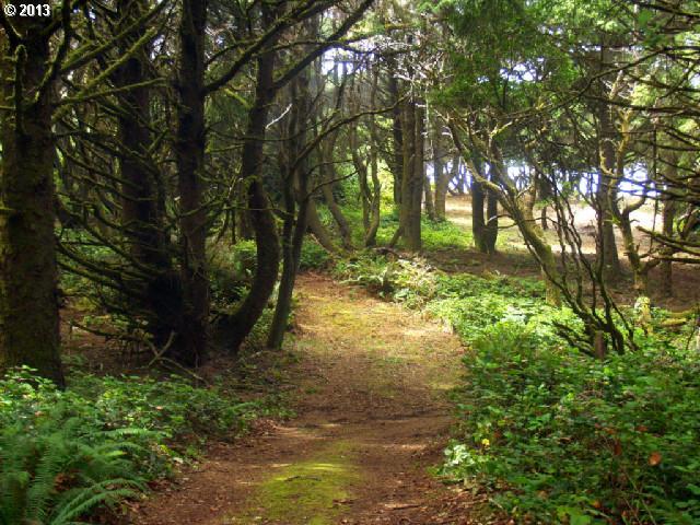 North Chantrelle Lane Gold Beach, OR 97444 - Photo 9 of 16