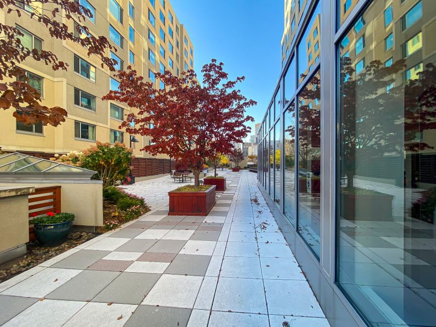 Kalahari 40 W 116th St, Manhattan, NY 10026 - Photo 4 of 32