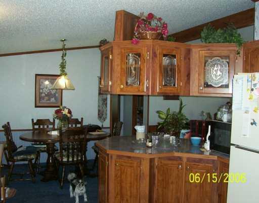 1101 South Lake Road Mercer, PA 16137 - Photo 3 of 6