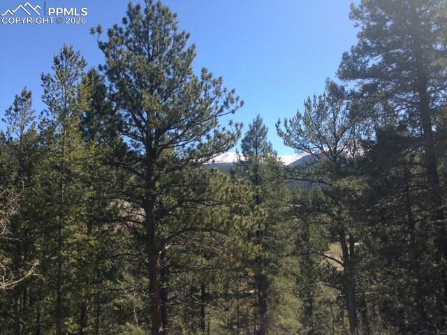 490 Spruce Circle Divide, CO 80814 - Photo 1 of 1