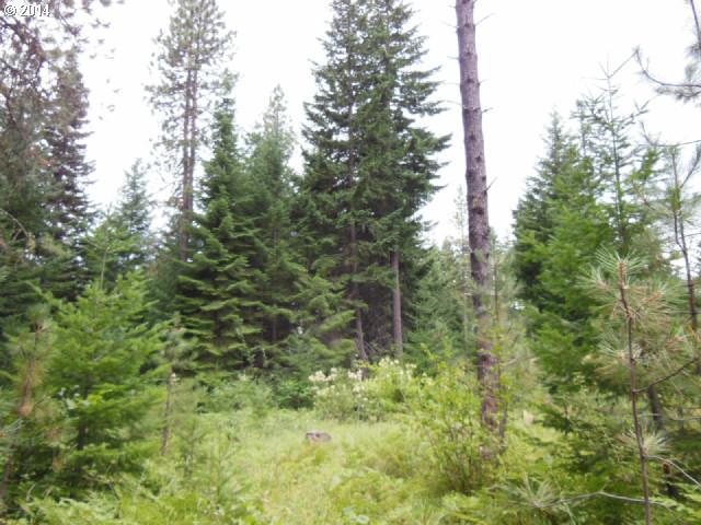 Martin Road Trout Lake, WA 98650 - Photo 3 of 10 Gallery Image 3
