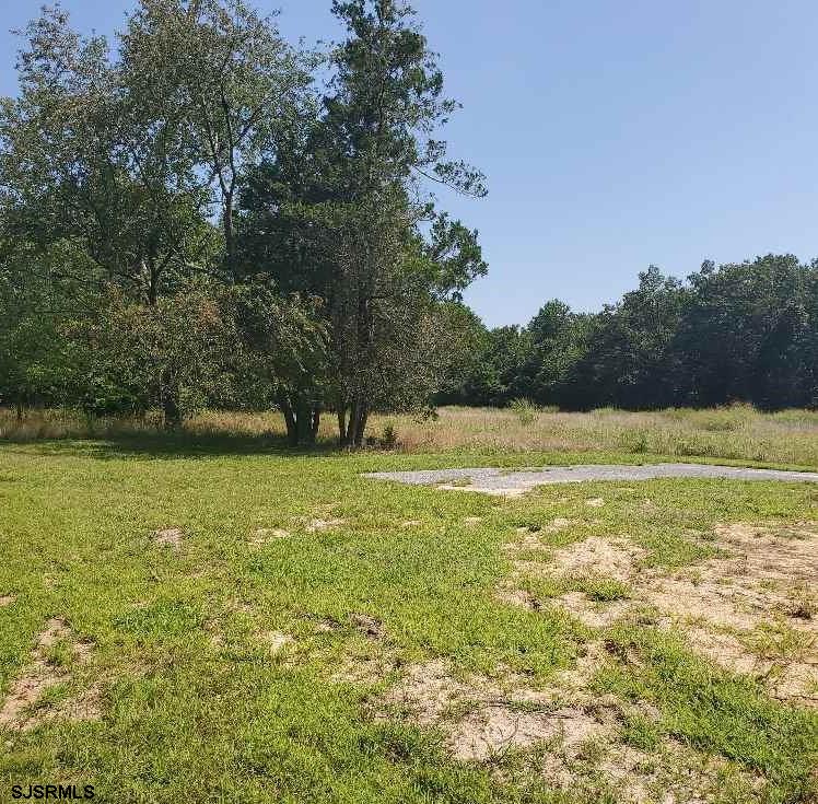 688 Springtown Road Greenwich, NJ 08323 - Photo 5 of 10