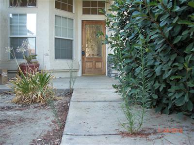 3704 Mt Celeste Court Bakersfield, CA 93313 - Photo 2 of 18