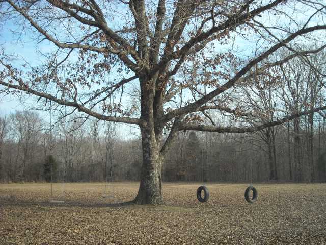 2345 Bobbitt Road Williston, TN 38076 - Photo 6 of 12 Gallery Image 6