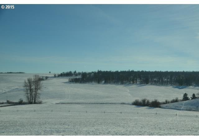 80440 Rail Hollow Road Dufur, OR 97021 - Photo 13 of 16 Gallery Image 13