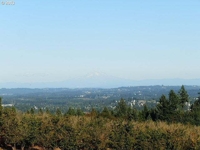 0 Southwest Old Kruger Road, Unit LOT 2 Sherwood, OR 97140 - Photo 5 of 16 Gallery Image 5