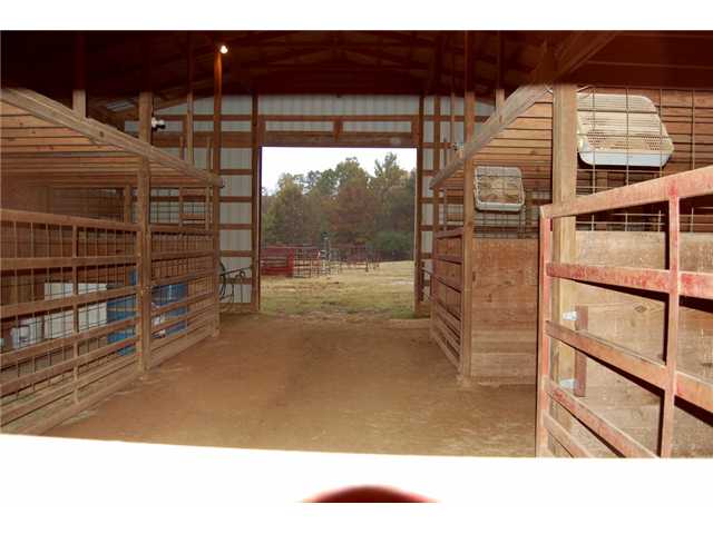 8775 Old Jackson Road Somerville, TN 38068 - Photo 10 of 17 Gallery Image 10