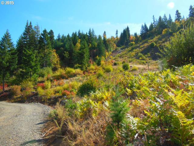 Cedar Springs Road Trout Lake, WA 98650 - Photo 11 of 14 Gallery Image 11