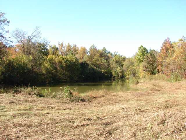 1704 Dry Hill Road West Ripley, TN 38063 - Photo 3 of 9